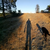 15 images proving that Google Glass will change the future of photography