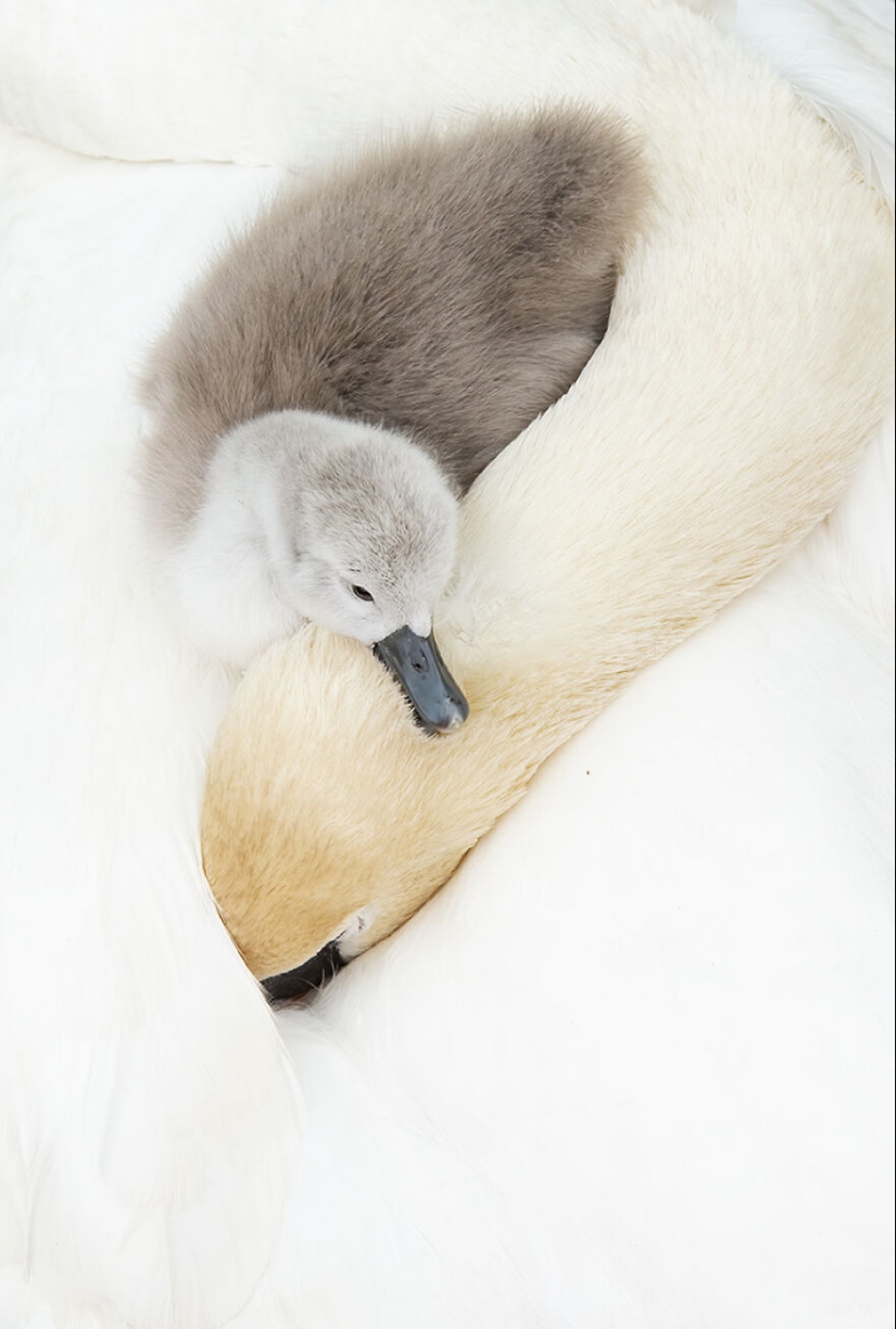 15 Images That Captured Nature’s Beauty And Diversity And Were Selected As Best By NBP Awards 2023