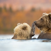 15 Images That Captured Nature’s Beauty And Diversity And Were Selected As Best By NBP Awards 2023