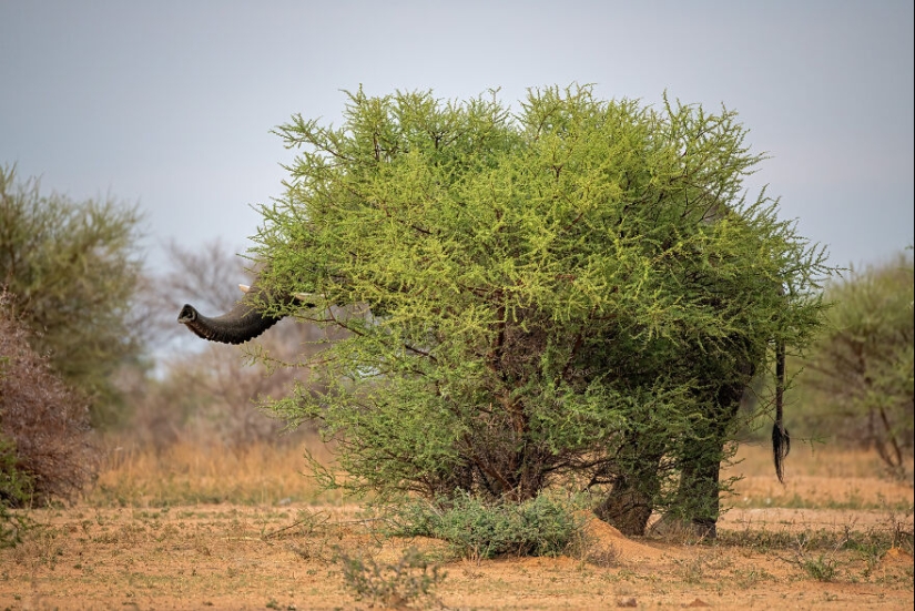 15 Images That Captured Nature’s Beauty And Diversity And Were Selected As Best By NBP Awards 2023