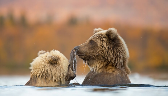 15 Images That Captured Nature’s Beauty And Diversity And Were Selected As Best By NBP Awards 2023