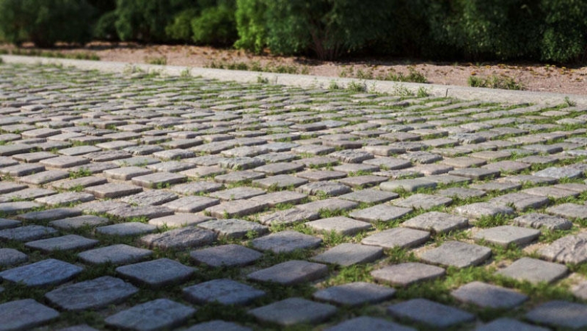 15 imágenes digitales que sorprendentemente parecen fotos 15 imágenes digitales que sorprendentemente parecen fotos