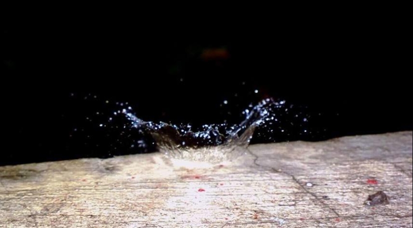 15 increíbles fotos tomadas con un teléfono inteligente 15 increíbles fotos tomadas con un teléfono inteligente