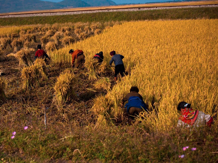 15 Incredible facts about North Korea