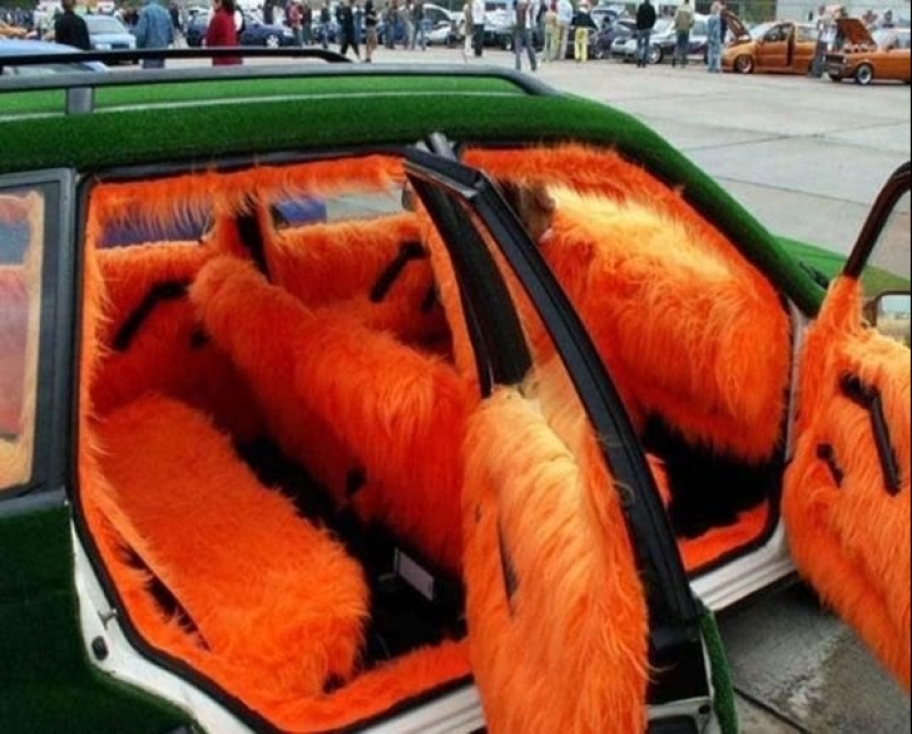 15 Incredible Things That Make Life More Fun