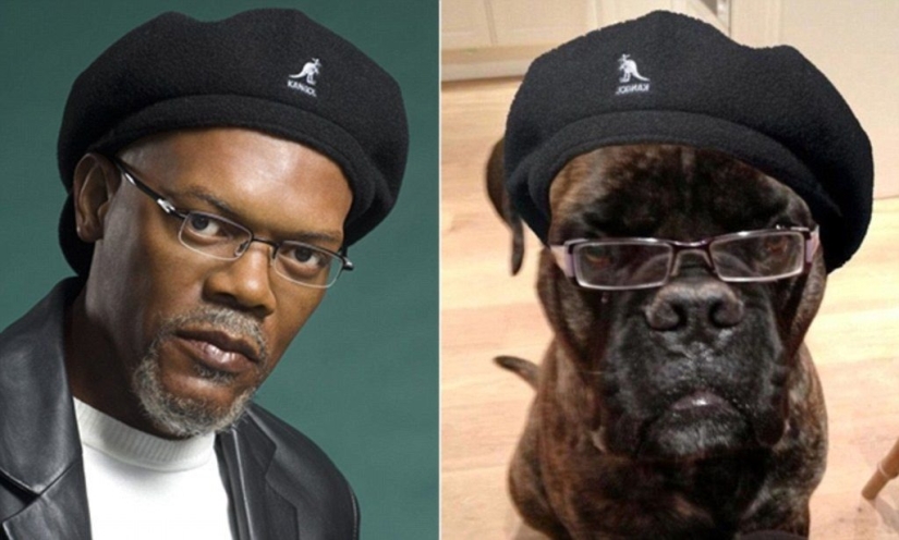 15 photos of celebrities and their animal counterparts 15 photos of celebrities and their animal counterparts