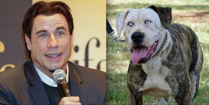 15 photos of celebrities and their animal counterparts 15 photos of celebrities and their animal counterparts