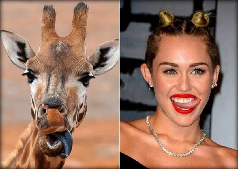 15 photos of celebrities and their animal counterparts 15 photos of celebrities and their animal counterparts