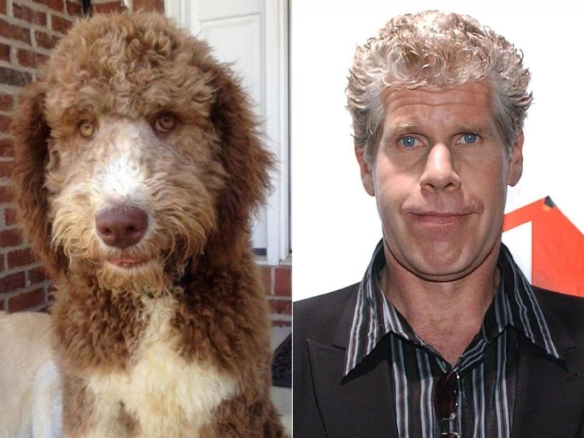 15 photos of celebrities and their animal counterparts 15 photos of celebrities and their animal counterparts