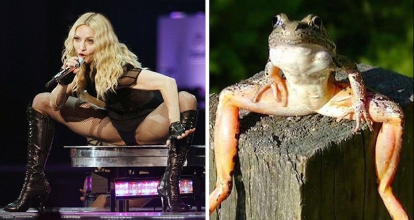 15 photos of celebrities and their animal counterparts 15 photos of celebrities and their animal counterparts