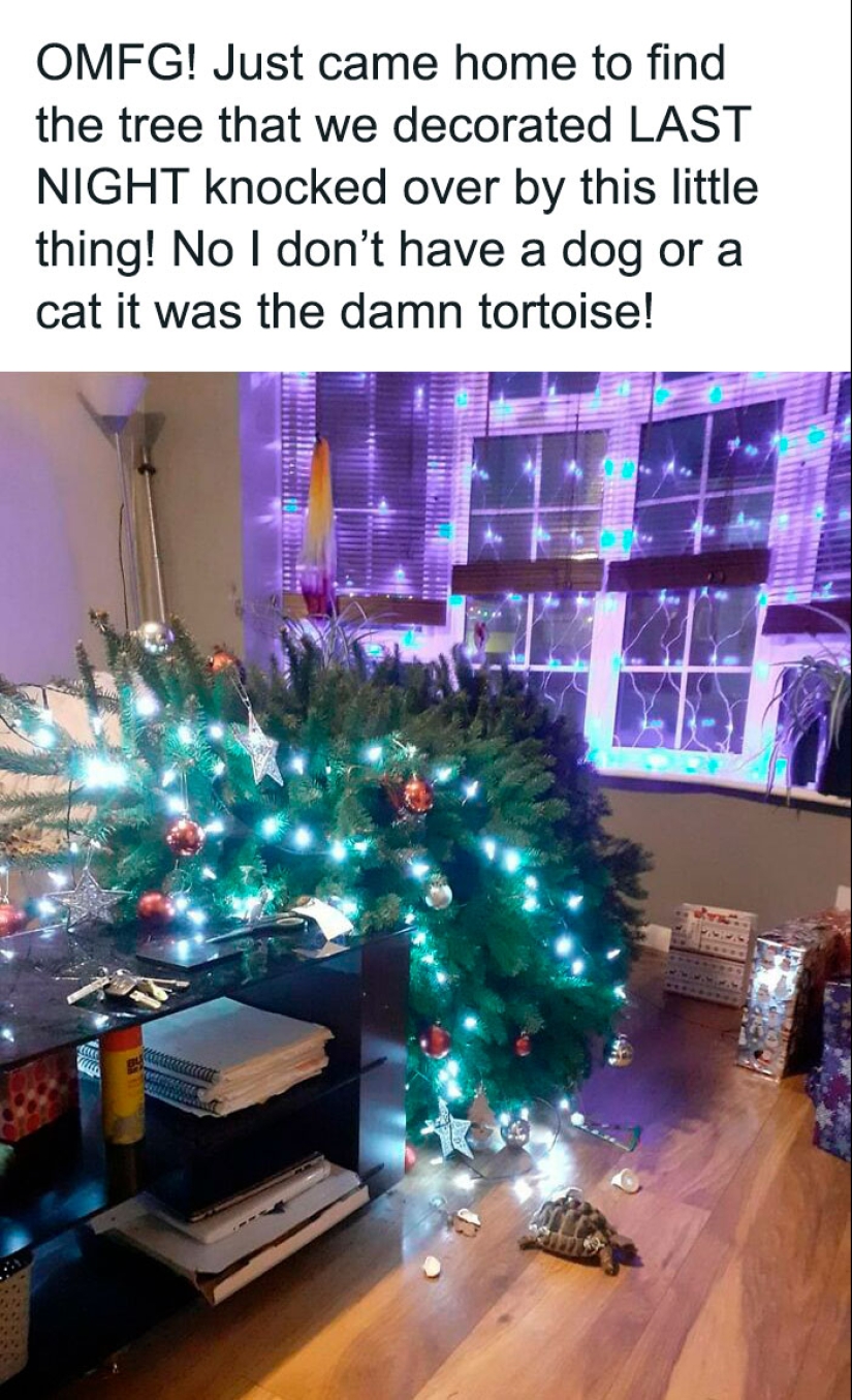 15 Pics Of People Having A Worse Day Than You, As Shared On This Facebook Page 15 Pics Of People Having A Worse Day Than You, As Shared On This Facebook Page