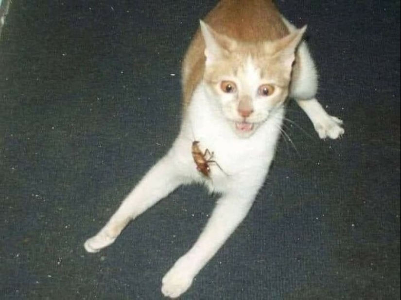 15 Pics Of People Having A Worse Day Than You, As Shared On This Facebook Page 15 Pics Of People Having A Worse Day Than You, As Shared On This Facebook Page