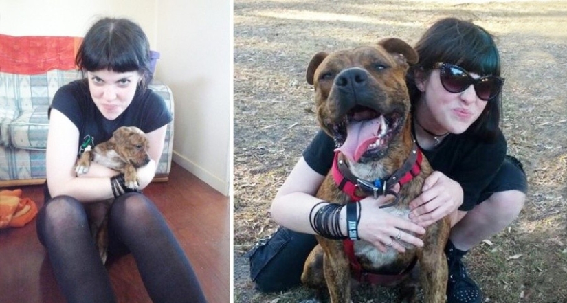 15 puppies who grew up too fast 15 puppies who grew up too fast