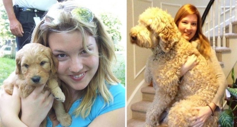 15 puppies who grew up too fast 15 puppies who grew up too fast