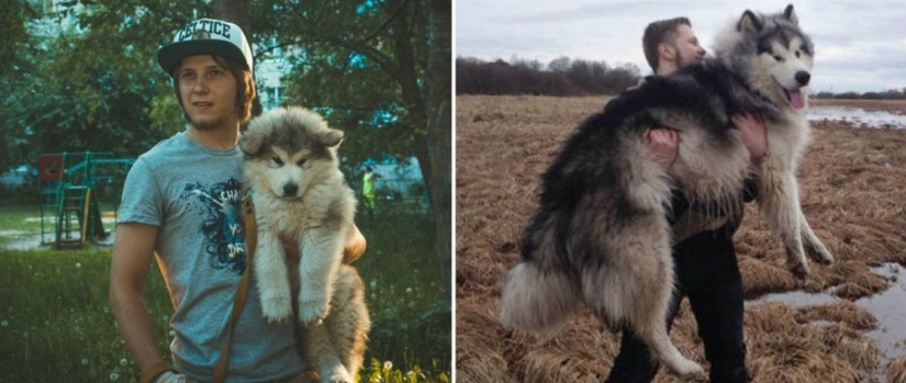 15 puppies who grew up too fast 15 puppies who grew up too fast
