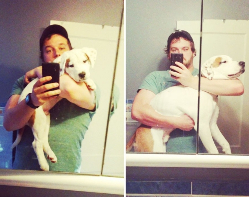 15 puppies who grew up too fast 15 puppies who grew up too fast