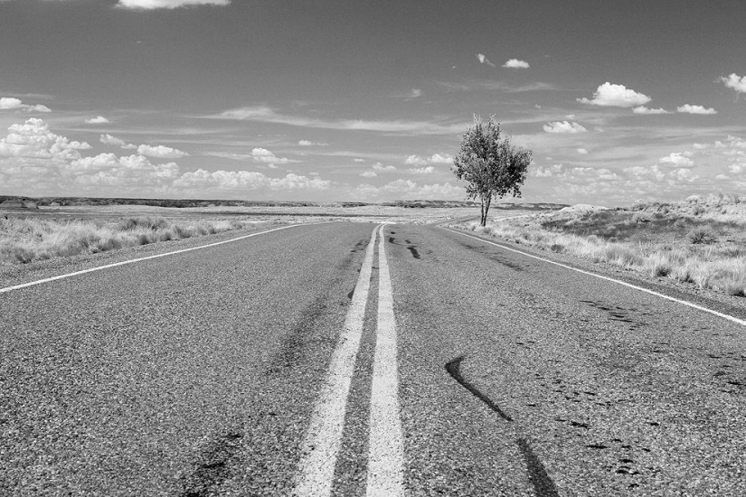 15 quotes about the meaning of life from the books of Paulo Coelho