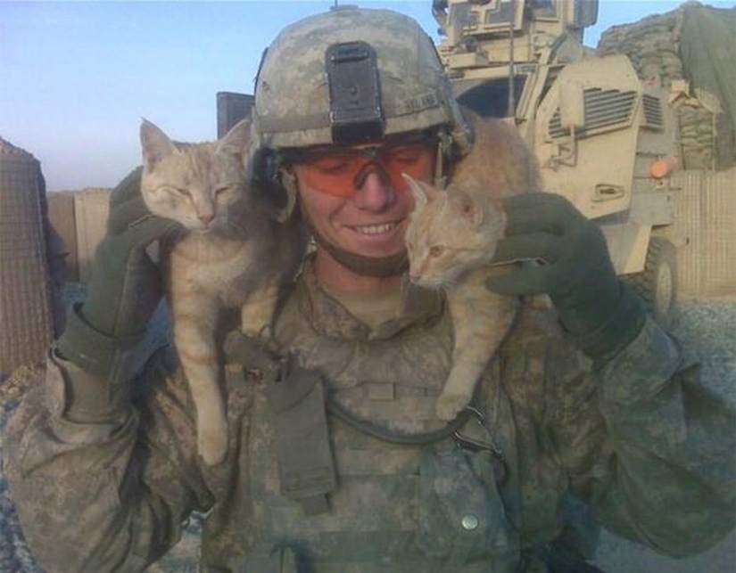 15 soldiers with their ... cats 15 soldiers with their ... cats