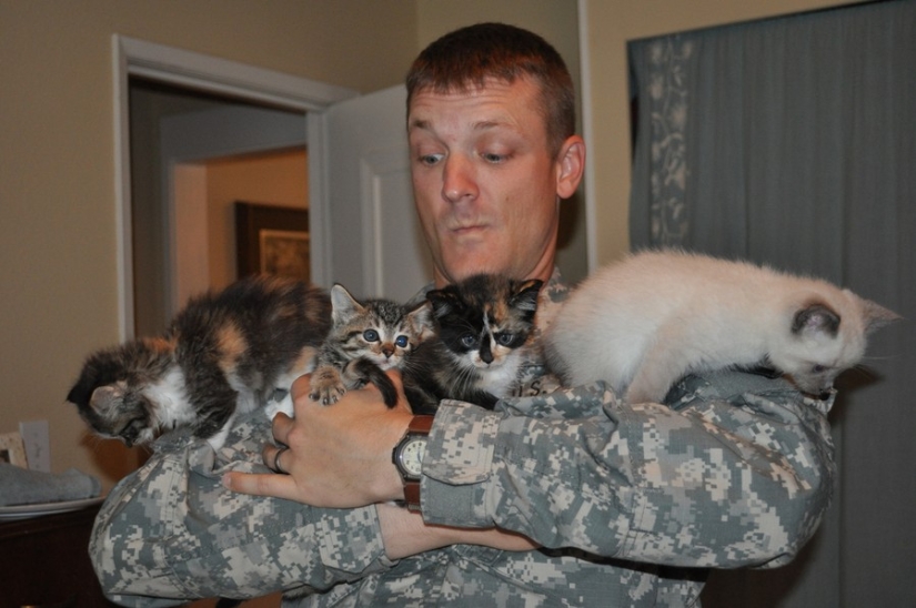 15 soldiers with their ... cats 15 soldiers with their ... cats