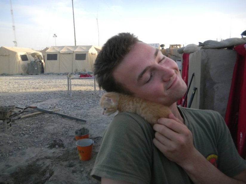 15 soldiers with their ... cats 15 soldiers with their ... cats