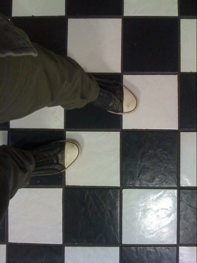 15 Things That Matched Their Surroundings So Well, They Made People Do A Double Take