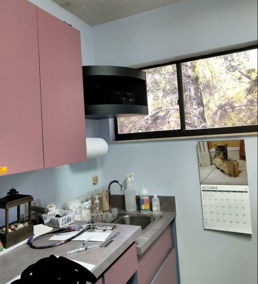 15 Things That Matched Their Surroundings So Well, They Made People Do A Double Take