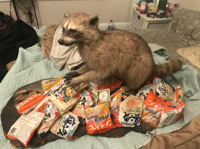 15 things whose authors know how to work with their hands, but are not friends with their heads