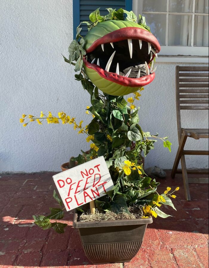 15 Times People Decorated Their Houses For Halloween And Left Everyone Speechless 15 Times People Decorated Their Houses For Halloween And Left Everyone Speechless