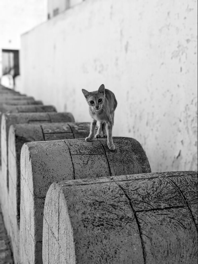 16 Smartphone Shots Documenting Life On The Streets Of Tunisia By This Photographer