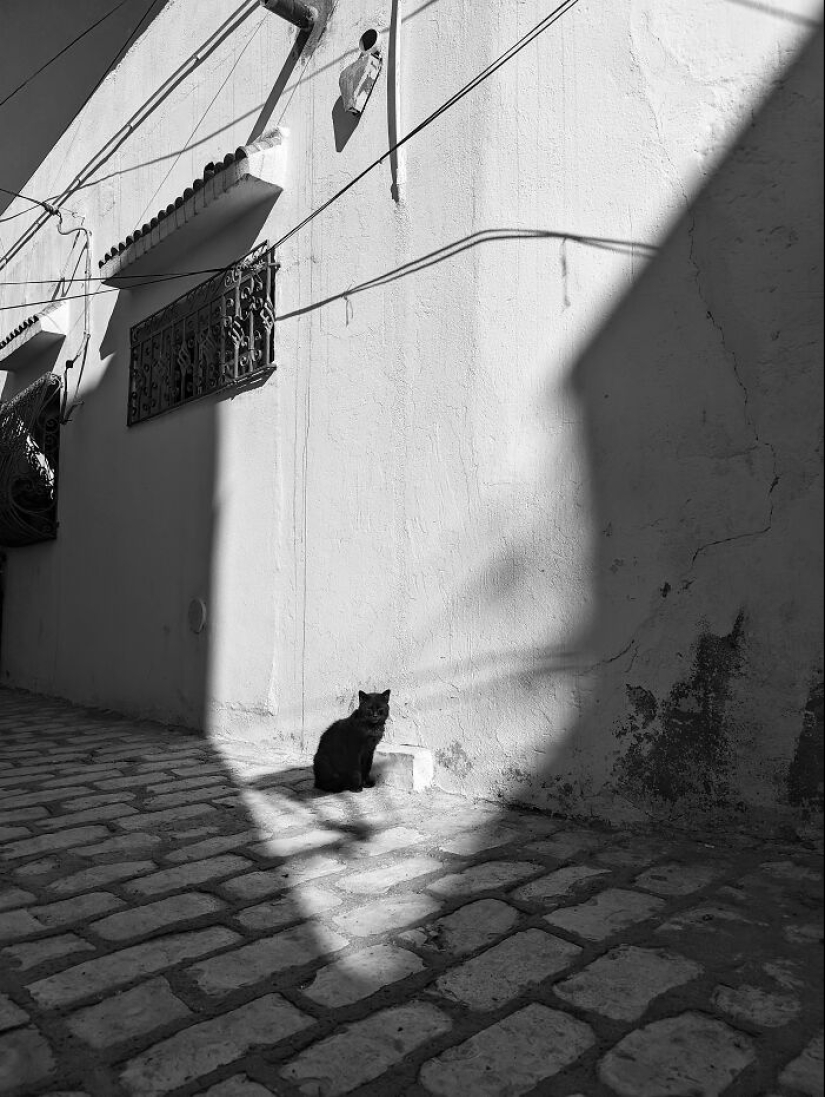 16 Smartphone Shots Documenting Life On The Streets Of Tunisia By This Photographer