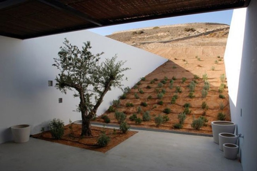 17 cleverly camouflaged buildings that play hide-and-seek