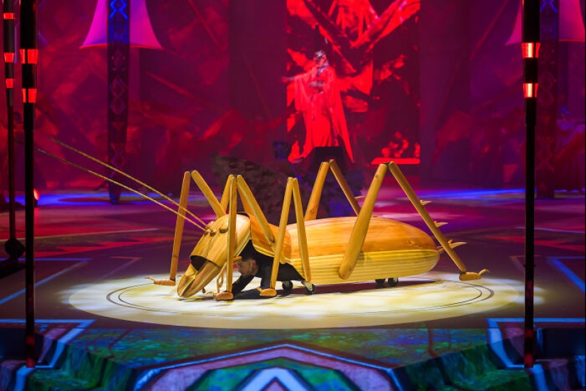 17 entradas extraordinarias del concurso World Of Wearable Art 2023