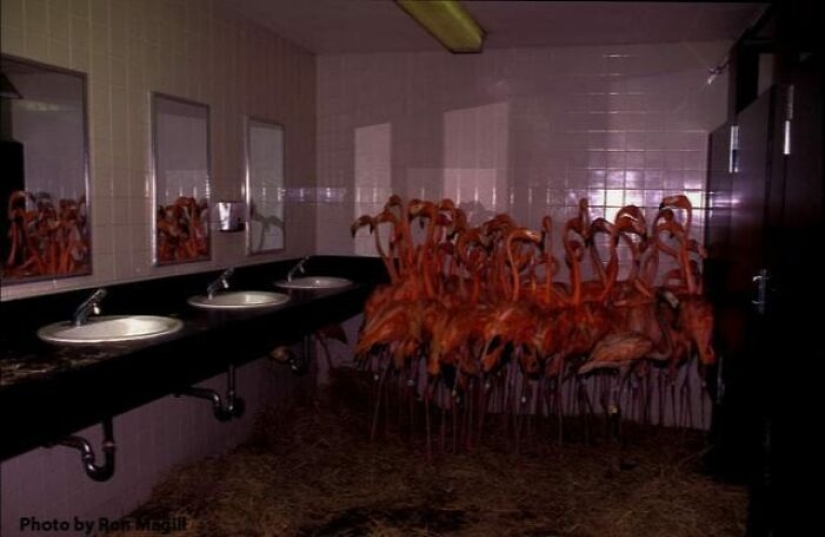 17 'imágenes malditas' que podrían hacerte temblar o reírte a carcajadas, tal como se comparten en esta página dedicada de Facebook