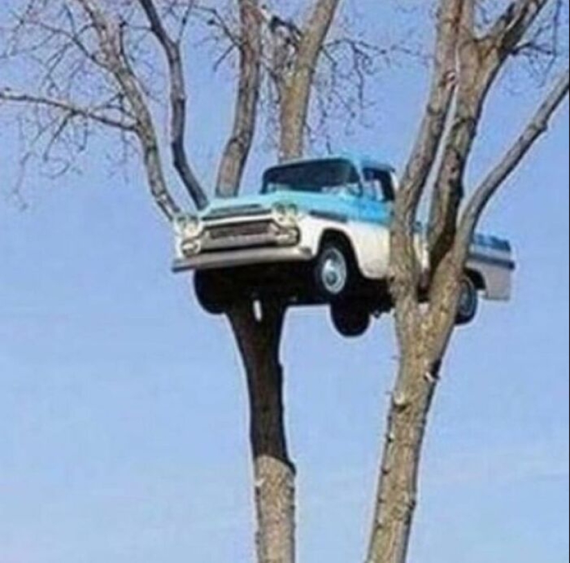 17 'imágenes malditas' que podrían hacerte temblar o reírte a carcajadas, tal como se comparten en esta página dedicada de Facebook