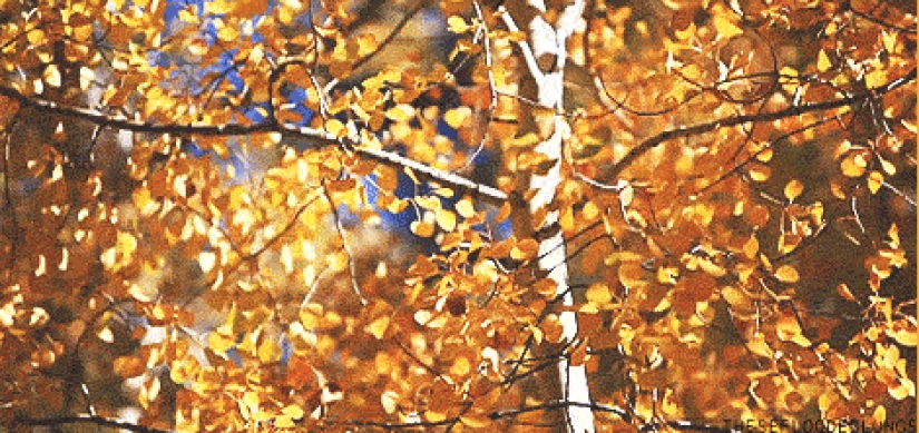 17 reasons to rejoice in the arrival of autumn 17 reasons to rejoice in the arrival of autumn