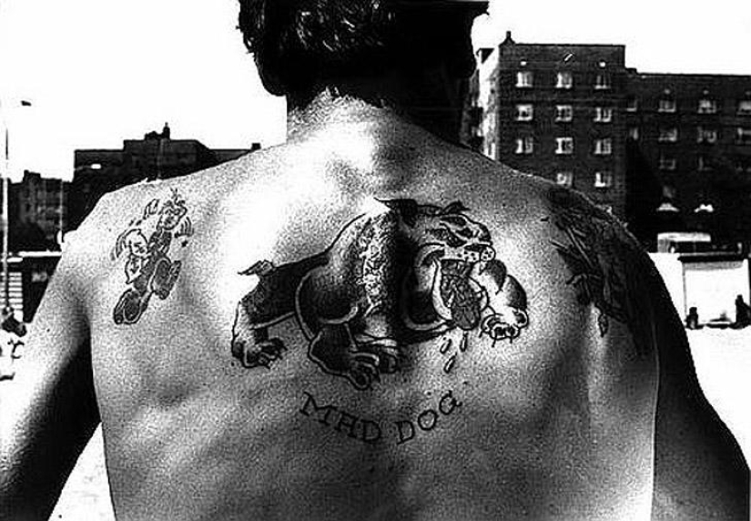 17 tomas curiosas de la vida de los estadounidenses de vacaciones 17 tomas curiosas de la vida de los estadounidenses de vacaciones