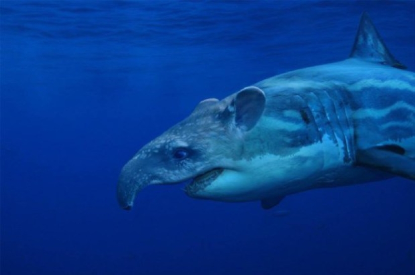 17 Weird And Amazing Animal Hybrids Created By The Imagination