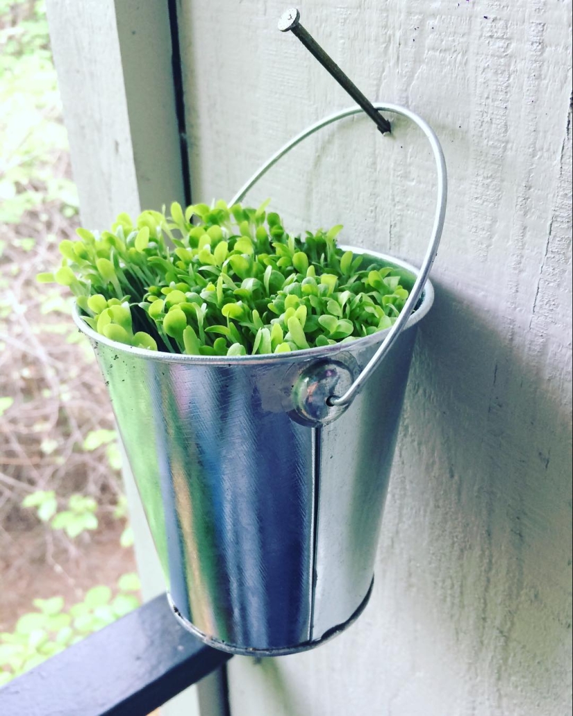 18 cool ways to make garden at home