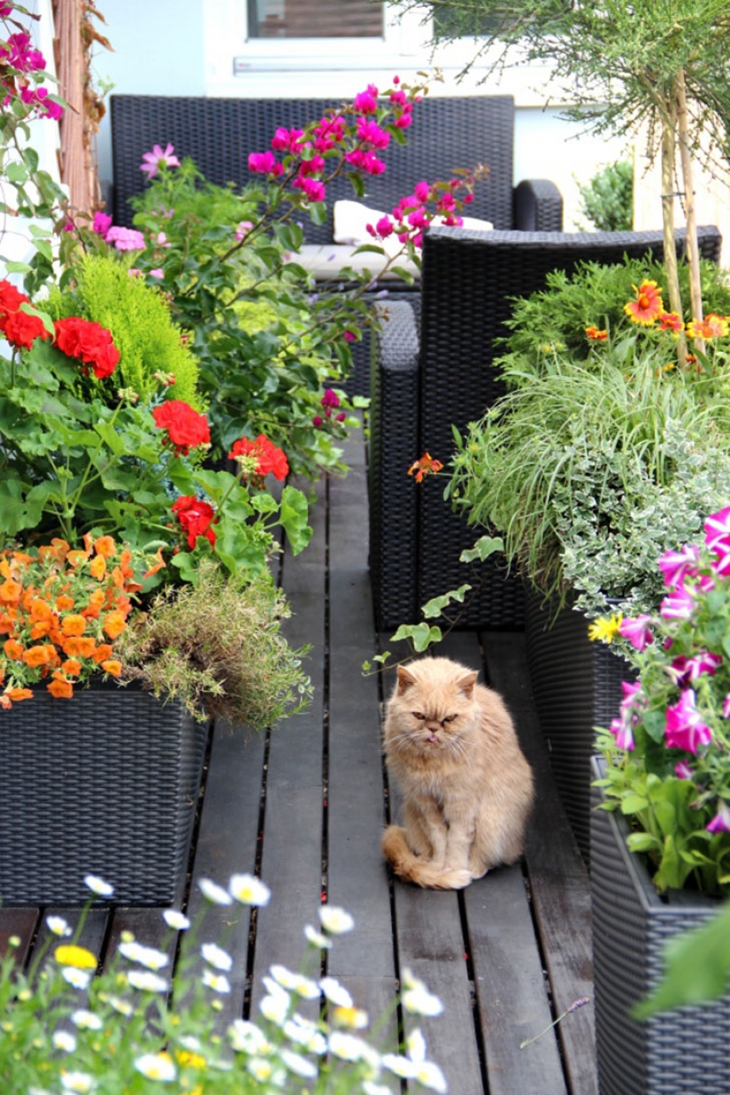 18 cool ways to make garden at home