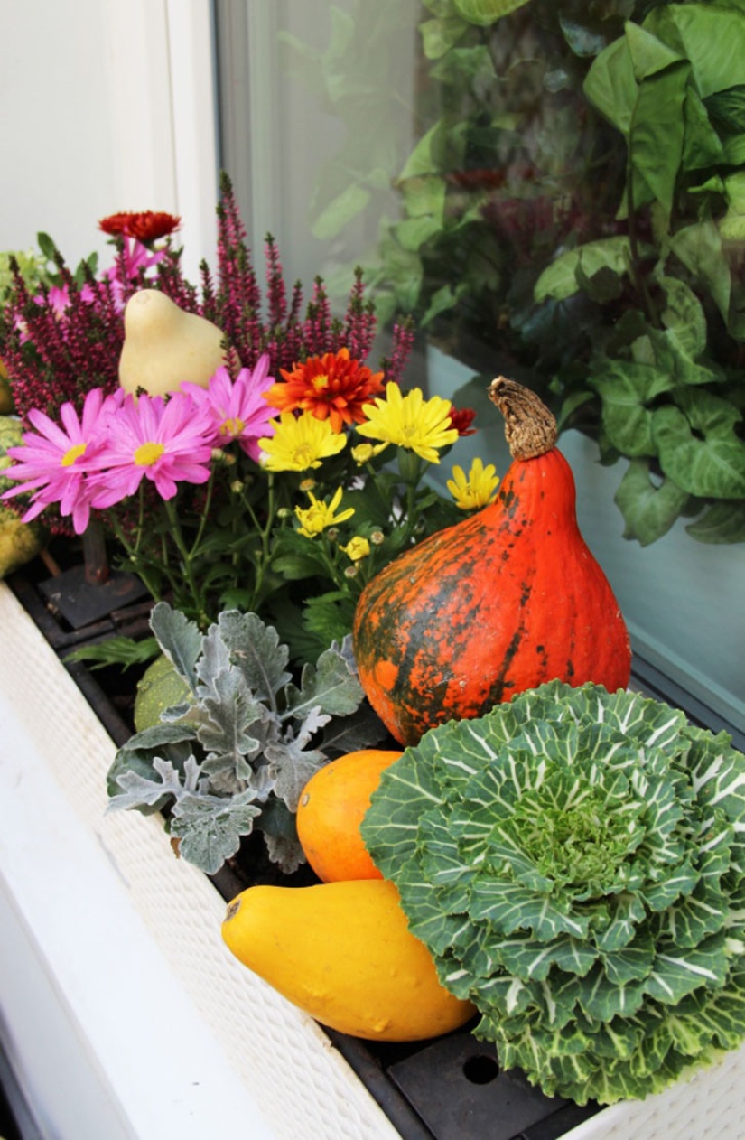 18 cool ways to make garden at home