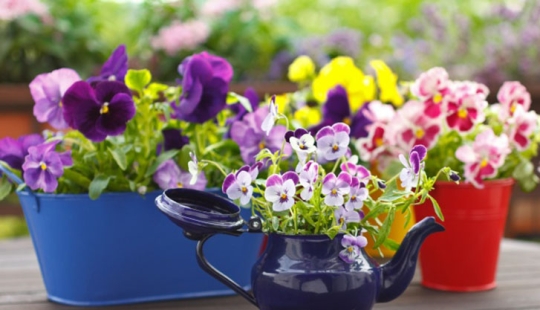 18 cool ways to make garden at home