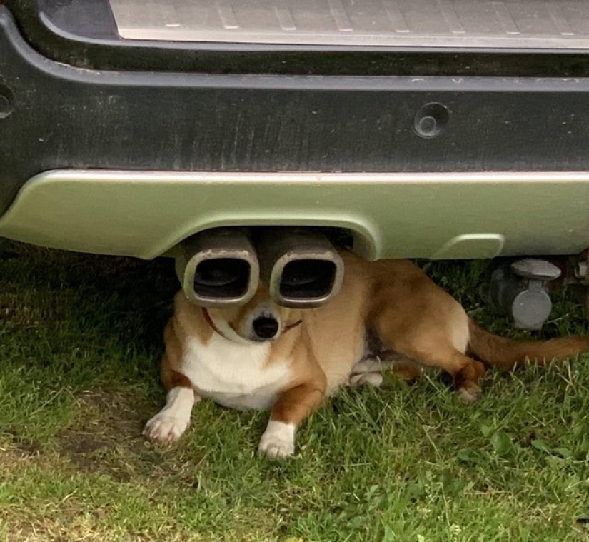 18 Proofs That Sometimes You Can't Believe Your Eyes