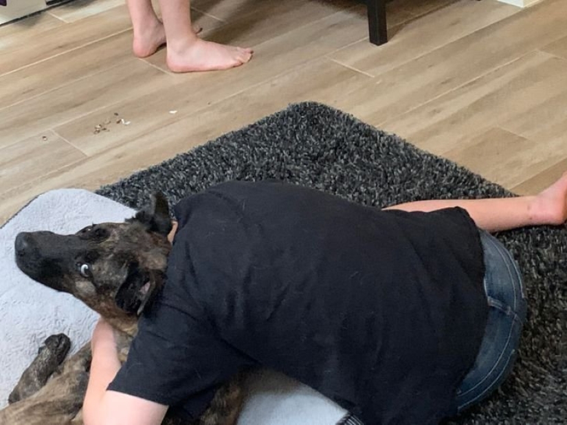 18 Proofs That Sometimes You Can't Believe Your Eyes