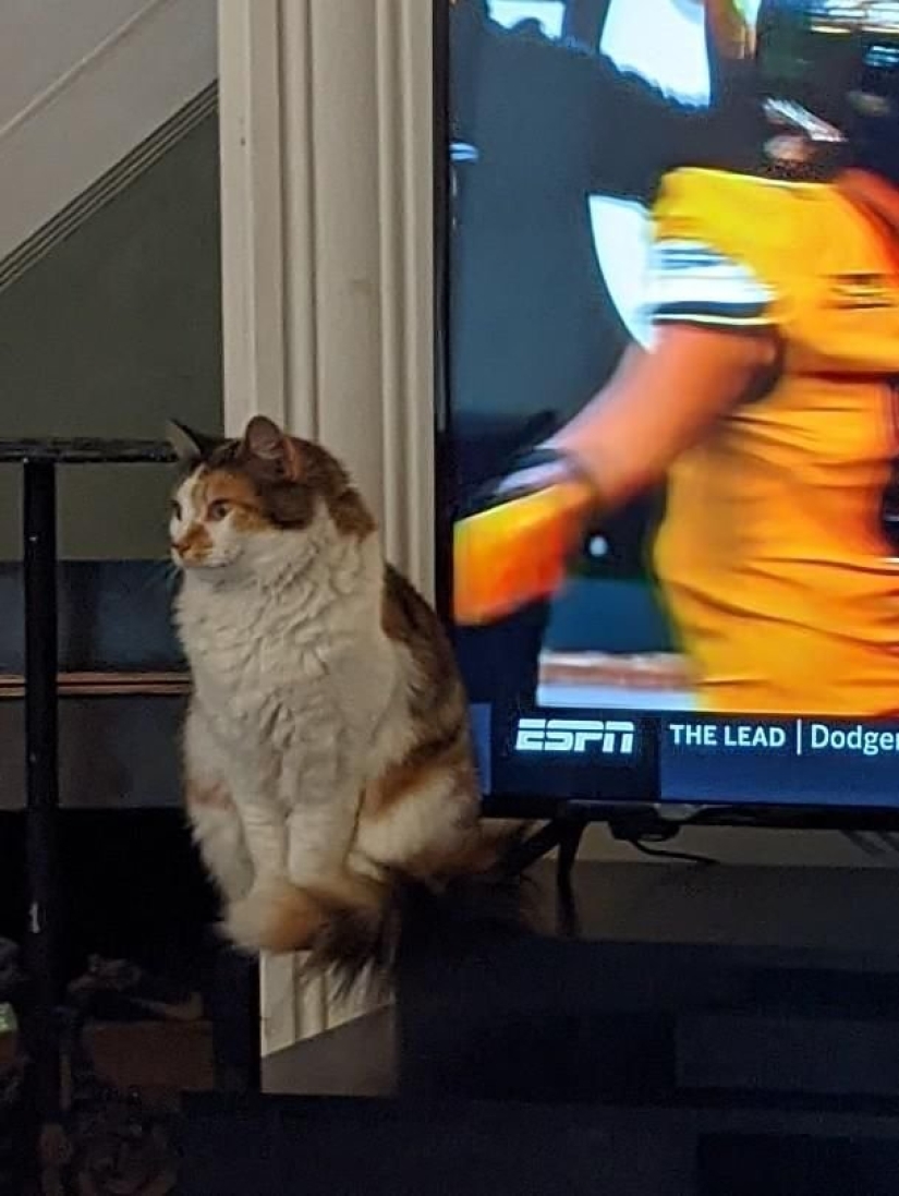 18 Proofs That Sometimes You Can't Believe Your Eyes