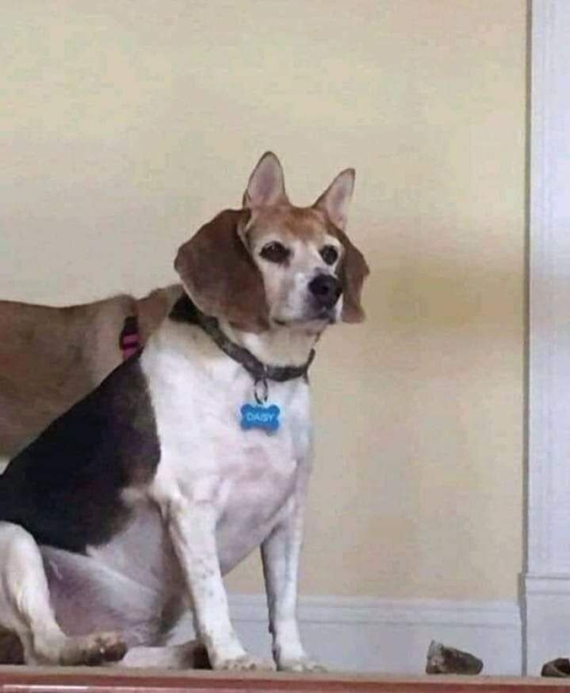 18 Proofs That Sometimes You Can't Believe Your Eyes