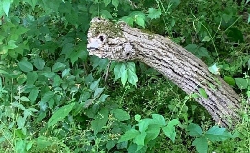 18 Proofs That Sometimes You Can't Believe Your Eyes