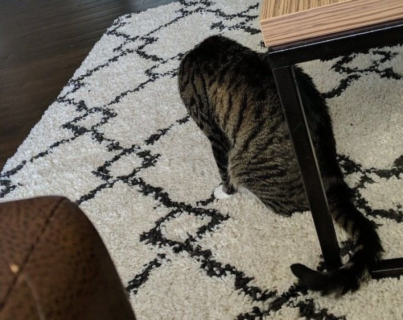 18 Proofs That Sometimes You Can't Believe Your Eyes