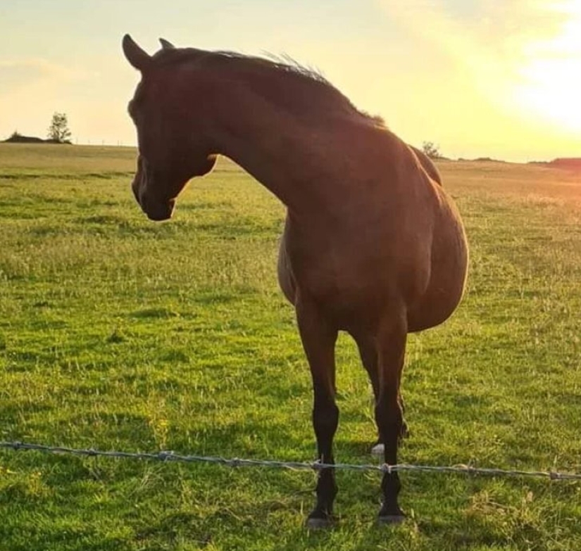 18 pruebas de que a veces no puedes creer lo que ves