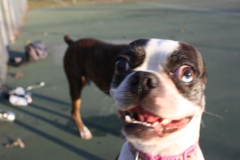 18 pruebas de que a veces no puedes creer lo que ves