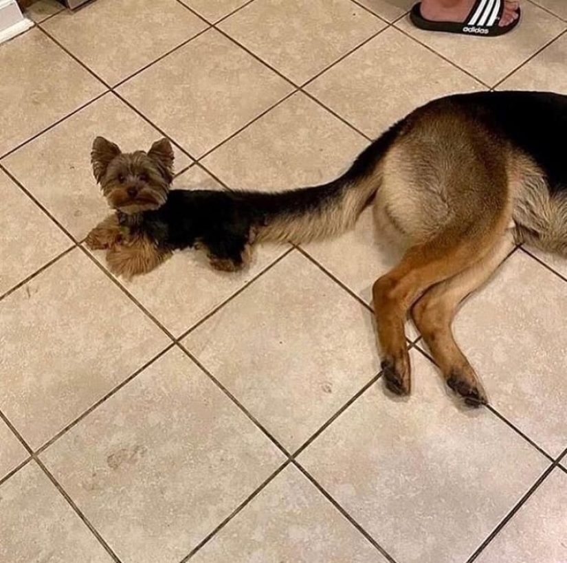 18 pruebas de que a veces no puedes creer lo que ves